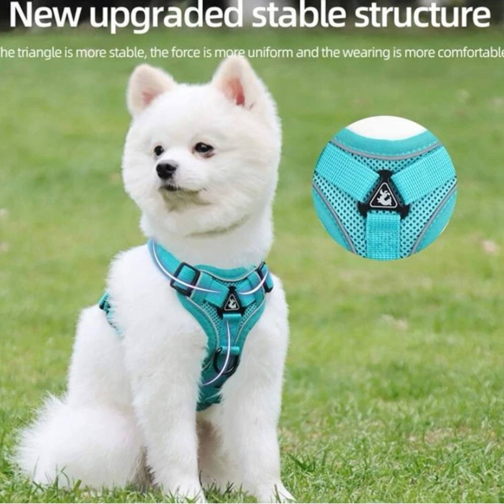 New dog harness with leash